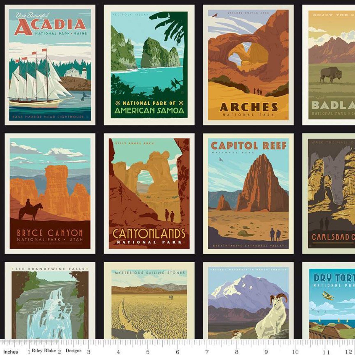 Riley Blake Designs National Parks Posters Black C8780 Black