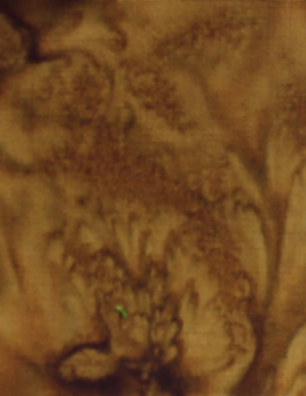 ANTHOLOGY LAVA SOLIDS 100Q-1720 MOCHA