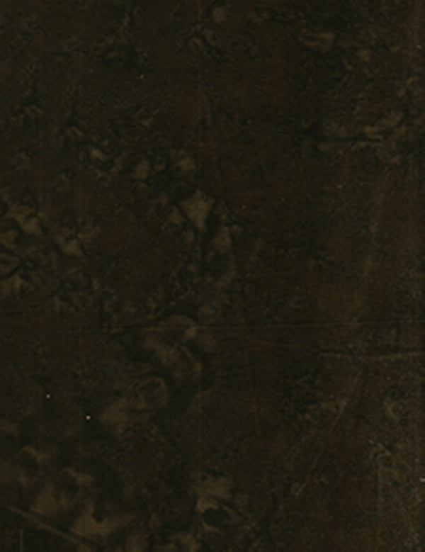 ANTHOLOGY LAVA SOLIDS 100Q-1651 Soil