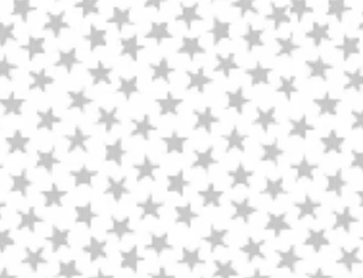 Windham Fabrics 45" WHITE ON WHITE 38097-1 Stars