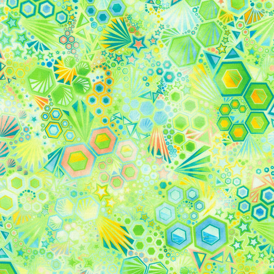 Robert Kaufman - Phantasma SRKD-22693-375 Sprout