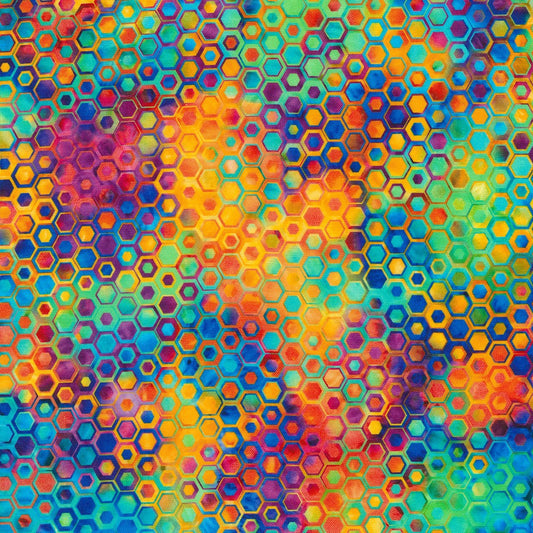 Robert Kaufman - Phantasma SRKD-22694-263 Rainbow