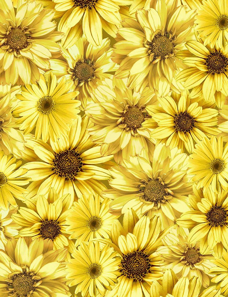 TIMELESS TREASURES - QUEEN BEE  PACKED SUNFLOWERS CD1362 FLEUR HONEY