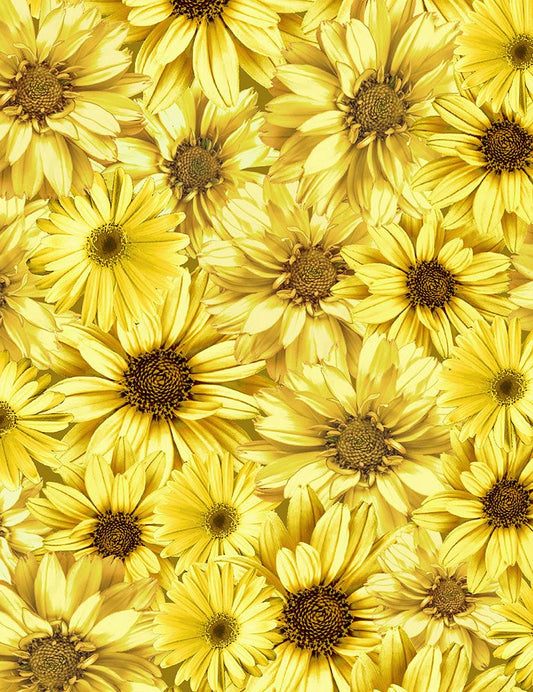 TIMELESS TREASURES - QUEEN BEE  PACKED SUNFLOWERS CD1362 FLEUR HONEY