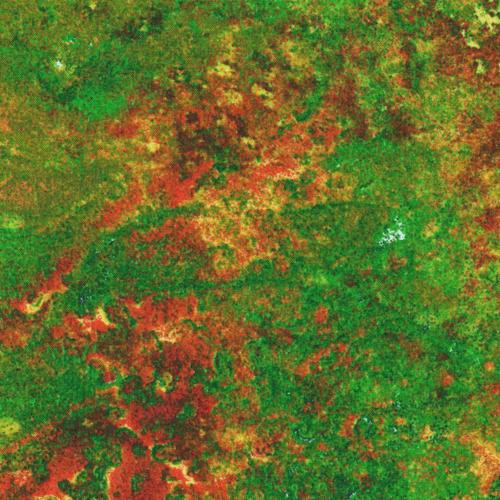 PAINTBRUSH STUDIO GLOBAL BRIGHTS 120-42919 GRANITE MUL/CIT