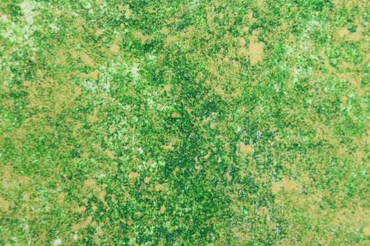 PAINTBRUSH STUDIO MARBLEHEAD Christmas Lime Holly 120-43111