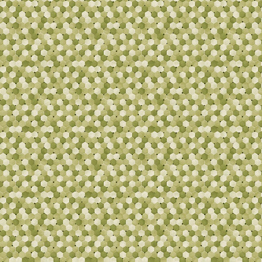 PAINTBRUSH STUDIO Bee Kind - Tonal Honeycomb - Green 120-99241